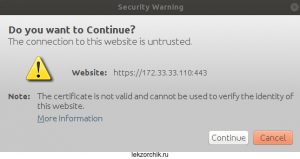 Доверяю подключение как не доверенное к URL адресу iLO своего сервера