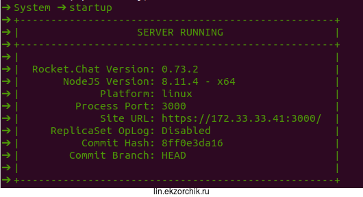 Сервис Rocket.Chat успешно запущен на Ubuntu 16.04 Server