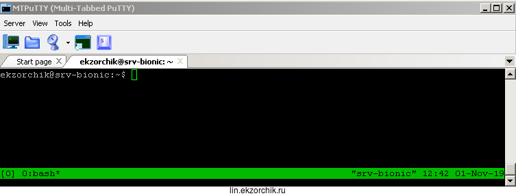 Запущенная оболочка tmux в системе Ubuntu 18.04 Server