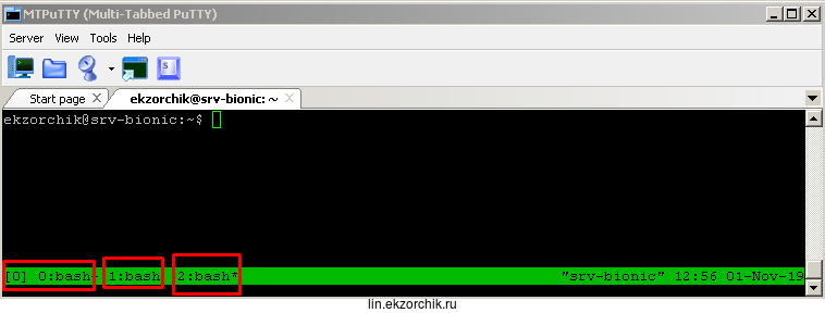 Созданы несколько окон при работе с tmux
