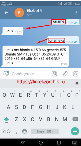 Бот исполняющий команды на Ubuntu системе