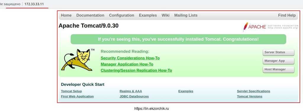 Заработали все доступы: "Server status, Manager App, Host Manager" при доступе через Nginx