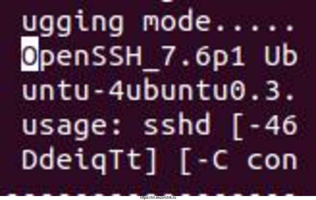 Поиск упоминания об SSH в бинарнике