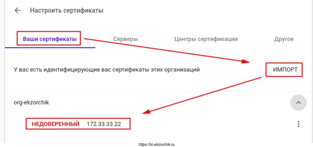 Импортирую сертификат client.p12 в браузер Google Chrome