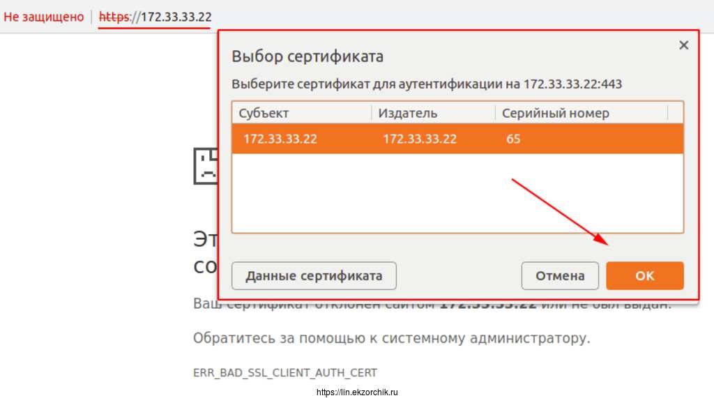 Сертификат установлен, браузер предлагает выбрать какой использовать для доступа на сайт