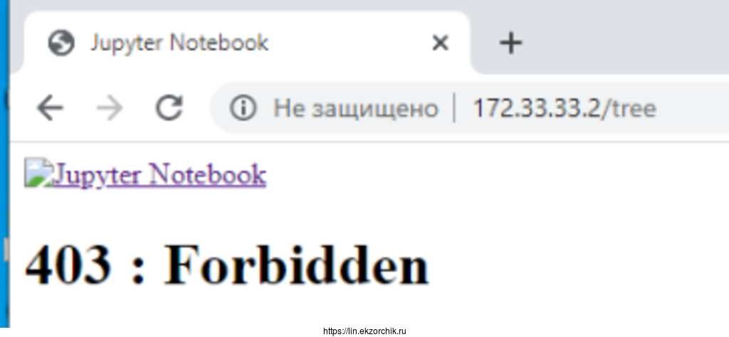 При обращении к jupyter из сети получаю 403: Forbidden