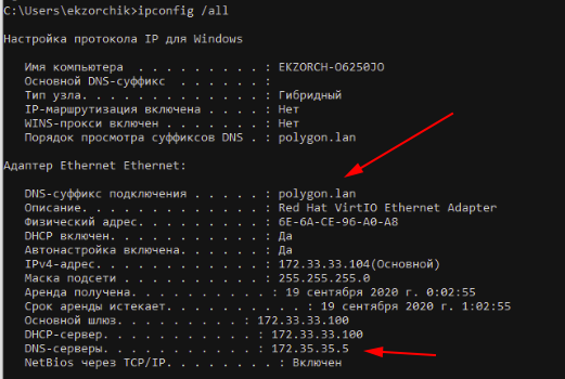 Windows 10 в моей ЛВС получила адрес и вижу настройки DNS