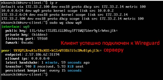 Адреса на srv-client и поднятый туннель