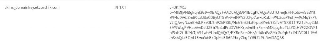 Прописываю DKIM запись