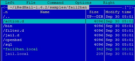 За основу написания правил возьму примеры из каталога ~/iRedMail-1.6.2/samples/fail2ban