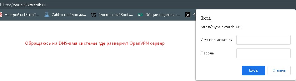 Обращаюсь на DNS-имя системы где развернут OpenVPN-сервер