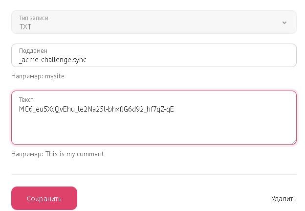 Создаю TXT-запись для домена sync.ekzorchik.ru