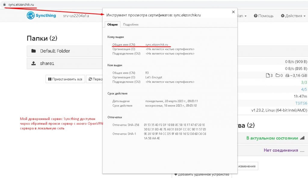 Web-доступ к сервису Syncthing успешно настроен через https
