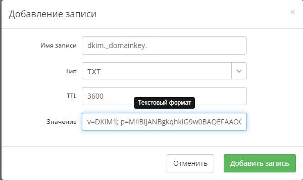 Добавляю запись DKIM в DNS
