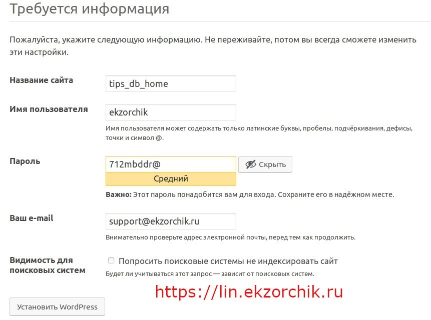 Указываю информацию по создаваемому сайту