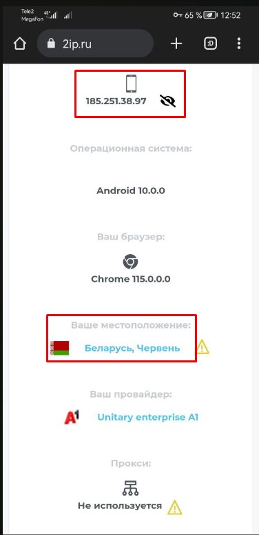 При установленном соединении через VPN - WAN-IP это IP VPS системы в Беларуссии
