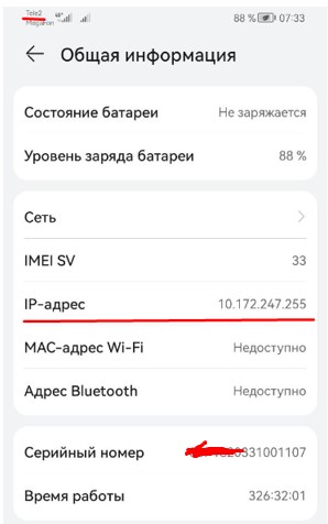 вот этот вот адрес 10.172.247.255 у меня на Honor 9X: Настройки - О телефоне - Общая информация - IP-адрес