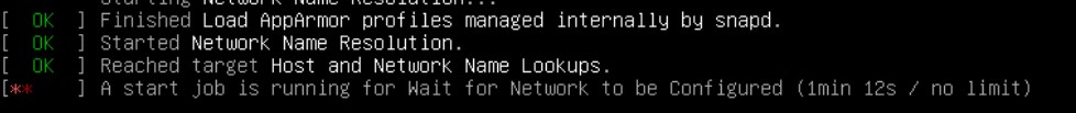 Это значит это служба systemd-networkd-wait-online ждет состояния "онлайн" для интерфейса