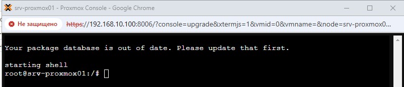 Shell консоли по процедуре обновления системы и Proxmox.