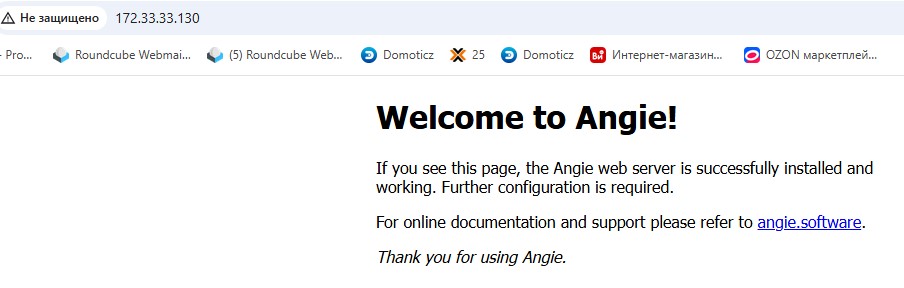Результат обращения на http://IP&DNS к Angie on Ubuntu 22.04 Server - стартовая страница.