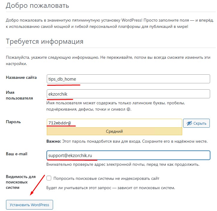 Знаменитая пятиминутка при установки WordPress.