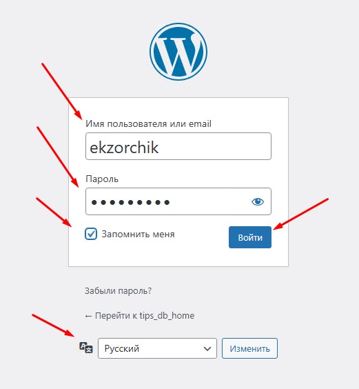 Производим авторизаю в CMS WordPress.