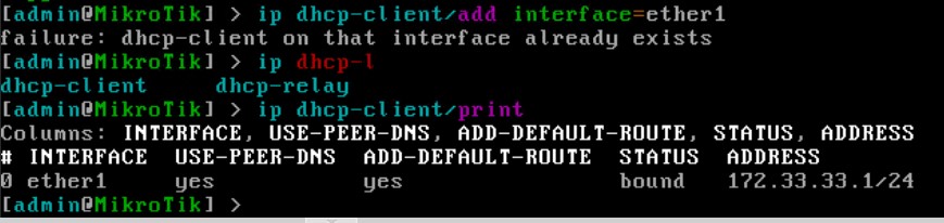 IP-адрес полученный через DHCP от роутера для Mikrotik CHR