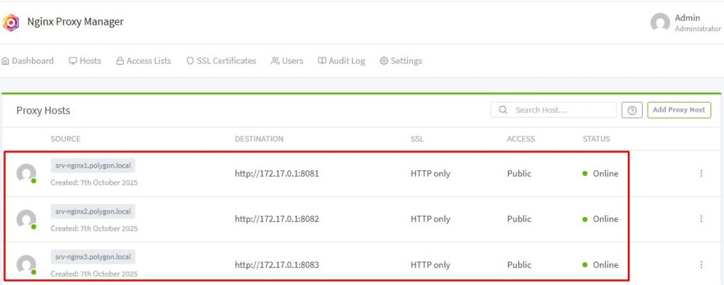 Настроенные перенаправления при обращении по Domain Name для трех nginx сервисов.