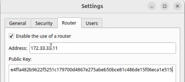 Указываю данные на подключение к Aspia Router: IP&DNS и Public Host Key