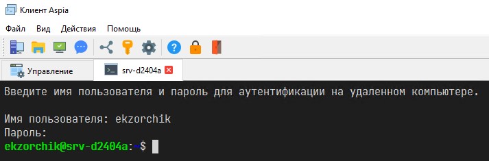 Так выглядит консольной взаимодействие через "Терминал" с Ubuntu 24.04 LTS Desktop.