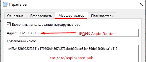 Указываю данные подключения к маршрутизатору (Aspia Router).