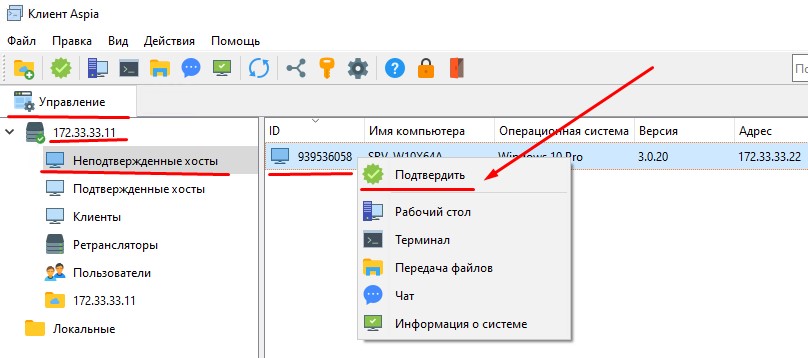 Подтверждаю подключенный хост в Aspia Router.
