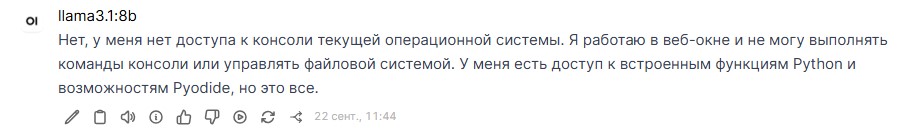 На запрос есть ли у модели доступ к консоли текущей операционной системы