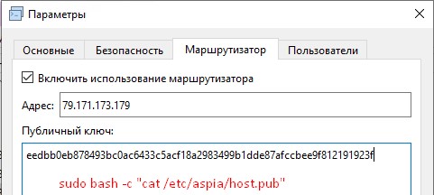 На Aspia Host прописываю WAN-IP и публичный ключ.